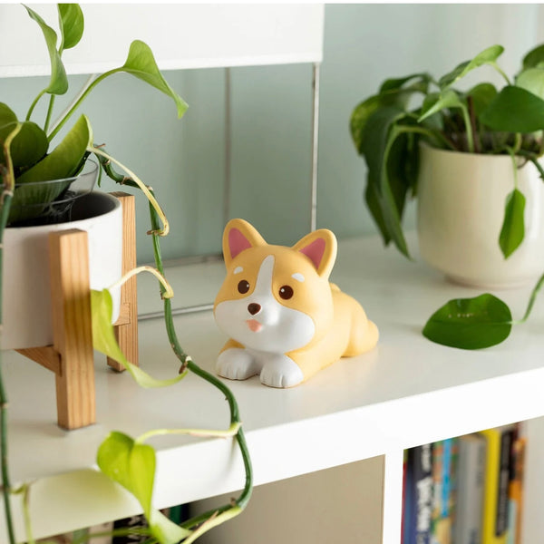 Squichy Chien Legami